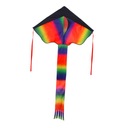 Треугольный кайт Дельта-кайт Взрослые Дети