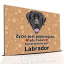 ТАРЕЛКА ПВХ ТЕМНО-КОРИЧНЕВАЯ ЖИЗНЬ КРАСИВАЯ ЛАБРАДОР ПОДАРОЧНЫЙ МИКС ДИЗАЙН