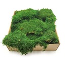 500 г мохового наполнителя FLAT для мохового мха