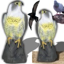 ОТПУПЫВАТЕЛЬ СОКОЛ-ЯСКОЛОВ ПТИЦ Скворцы ГОЛУБИ