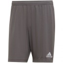 Шорты Adidas Entrada 22 3XL