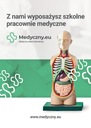 Анатомическая доска MEDICAL NERVous System.EU