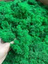 Наполнитель из мха Хроботка, украшения, украшения, 1кг