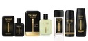 STR8 AHEAD ZESTAW XXL EDT50ml+ASL100ml+ DNS85ml+SPRAY+ŻEL400ml