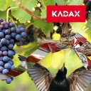 СВЕТООТРАЖАЮЩАЯ ЛЕНТА, ОТПУСКАТЕЛЬ ПТИЦ, ГОЛУБИ, 50 м