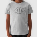 Футболка для мальчика 4F Детская серая спортивная футболка для ПЭ 128