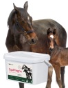 Корми Та Добавки Додатково 2Kg