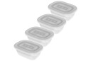 Набор морозильных контейнеров Rotho FREEZE 4x0,5л