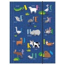 Папка Derform А4 на резинке.