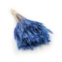 Тритикале сушеный - синий