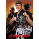 Plakat Cobra Kai Karate Kid Ralph Macchio