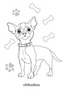 Книжка-раскраска Maluszkowe Рисование маленьких чистокровных собак 2+ Карлик