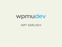 Плагин WPMU DEV WP Smush Pro