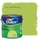 КРАСКА DULUX ЦВЕТА МИРА ЭКВАТОРИЧЕСКОГО ЛЕСА 5Л