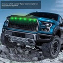 PARA FORD F-150 RAPTOR DELANTERO REJILLA DE RADIADOR ILUMINACIÓN SW 