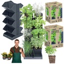 OGRÓD WERTYKALNY 2xDONICZKA KASKADA MODUŁOWA ZIOŁA