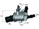 TERMOSTATO SUZUKI SX4 1.9 CADILLAC BLS 1.9 