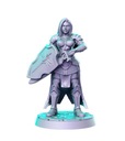 Фигурки RNE Pinup Paladin RPG
