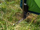 2-местная велосипедная палатка Vango Apex Compact 200