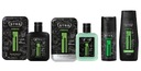 STR8 FREAK SET 4шт EDT100мл+ ASL100мл+ СПРЕЙ 150мл+ ГЕЛЬ 400мл