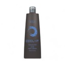Szampon koloryzujący BES Color Reflection Cool It - 300ml
