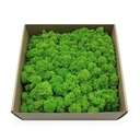 250 г чистого очищенного оленьего мха