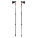 Палки для Скандинавской ходьбы inSPORTline, регулируемые