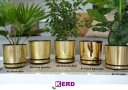 32 OLD GOLD Горшок Большой широкий горшок LOFT с металлическим эффектом