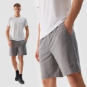 4F МУЖСКИЕ БЫСТРОСУХИЕ ТРЕНИРОВОЧНЫЕ ШОРТЫ SS24