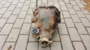 DIFFERENTIAL ЗАДНІЙ JAGUAR S-TYPE XR81871N 3.0 V6 99-02 3.31:1  (18790306021) фото min 6