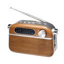 TS 461 Портативная радиостанция с USB-плеером