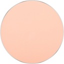 3S FREEDOM SYSTEM NF 304 INGLOT матирующая прессованная пудра