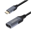 Кабель-переходник USB-C DisplayPort 1.2 «мама», 4K, 60 Гц