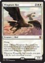 Напарник Рок