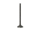 FRECCIA R6604/RNT SOUPAPE ÉCHAPPEMENTphoto 1