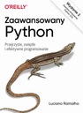 РАСШИРЕННЫЙ PYTHON, ED. 2. ЭЛЕКТРОННАЯ КНИГА ЛУЧИАНО РАМАЛЬЮ