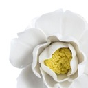 Ceramiczna rzeźba Ceramiczna ściana kwiatowa jest biała Kolor inny