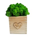 Кубик МОСС Хроботек Подарок на День бабушки