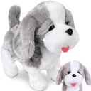 ИНТЕРАКТИВНАЯ ПРОГУЛКА СОБАКЫ ВЫПЕЧКА СОБАК НАТАЛЬЯ