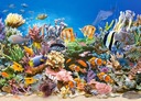ПАЗЛ ЖИВОТНЫЕ РЫБКИ КОРАЛЛОВЫЙ РИФ 260 EL CASTOR
