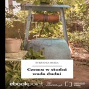 Почему журчит вода в колодце?