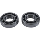 РЕМКОМПЛЕКТ БАЛАНСИРОВОЧНОГО ВАЛА HOT RODS (ПОДШИПНИКИ) POLARIS ACE 500