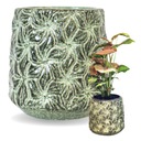 Керамическая крышка IVY S 12×12см