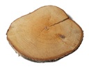 Срез сухой древесины, березовый диск, 23-27 см.