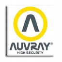 ТОЛСТАЯ ПРОЧНАЯ ЦЕПЬ С ЗАМКОМ AUVRAY C-BLOC