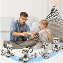 MODERN TÁVIRÁNYÍTÓS ROBOT KUTYUS JÓGA ÉS JÁTÉK FUNKCIÓVAL Effektek mozgó