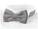 Мужской галстук-бабочка + BOX для рубашки GREG MZ27