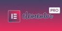 Автоматические обновления Elementor Pro