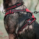 Reflexný postroj pre psa Front Line Truelove S Farba čierna odtiene červenej