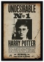 Harry Potter Poszukiwany - plakat 61x91,5 cm Tematyka, motyw filmowy